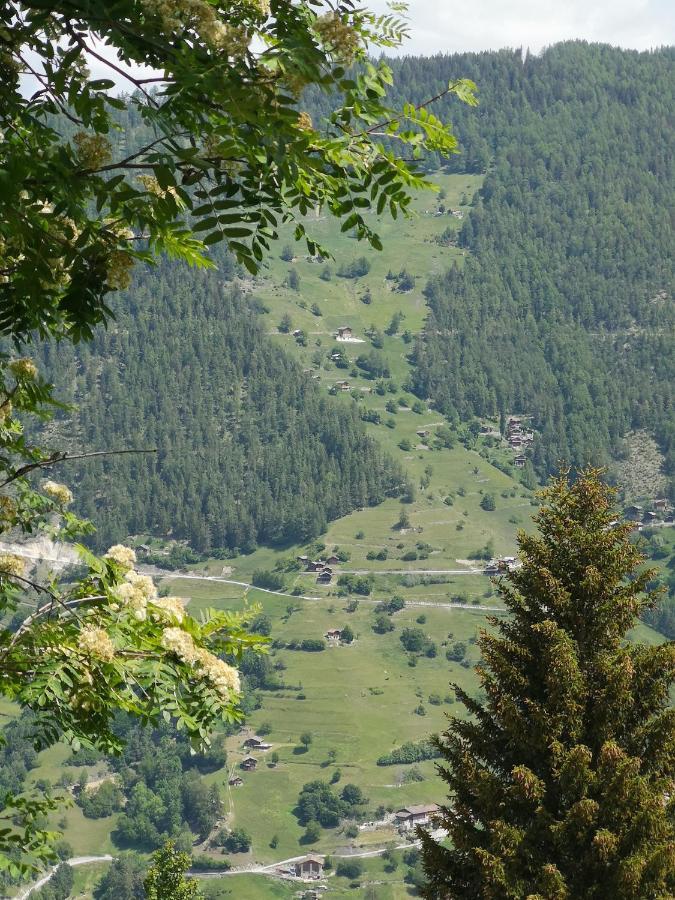 Le Cocon Du Catogne Proche Martigny Verbier - Netflix - Valettes Exteriér fotografie